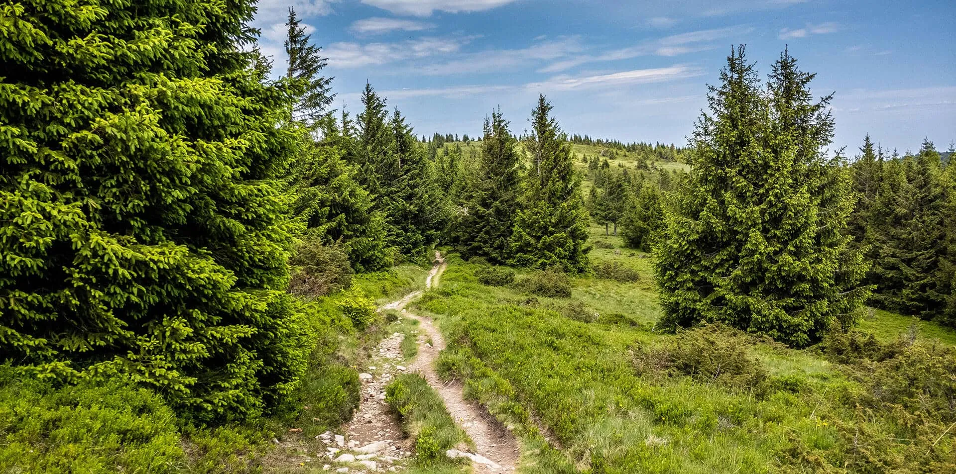 Le Vert Vallon — photo 2